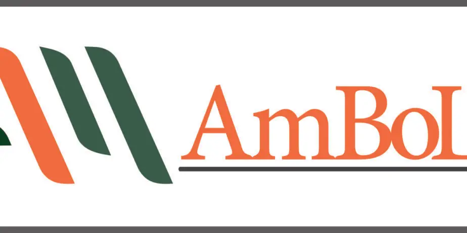 Logo Design & Home Architectural Plans (Naksha)